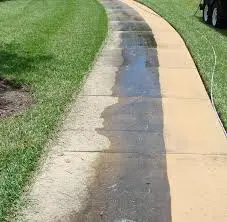 Walkway before and after pressure washing - sidewalk cleaning Orlando FL